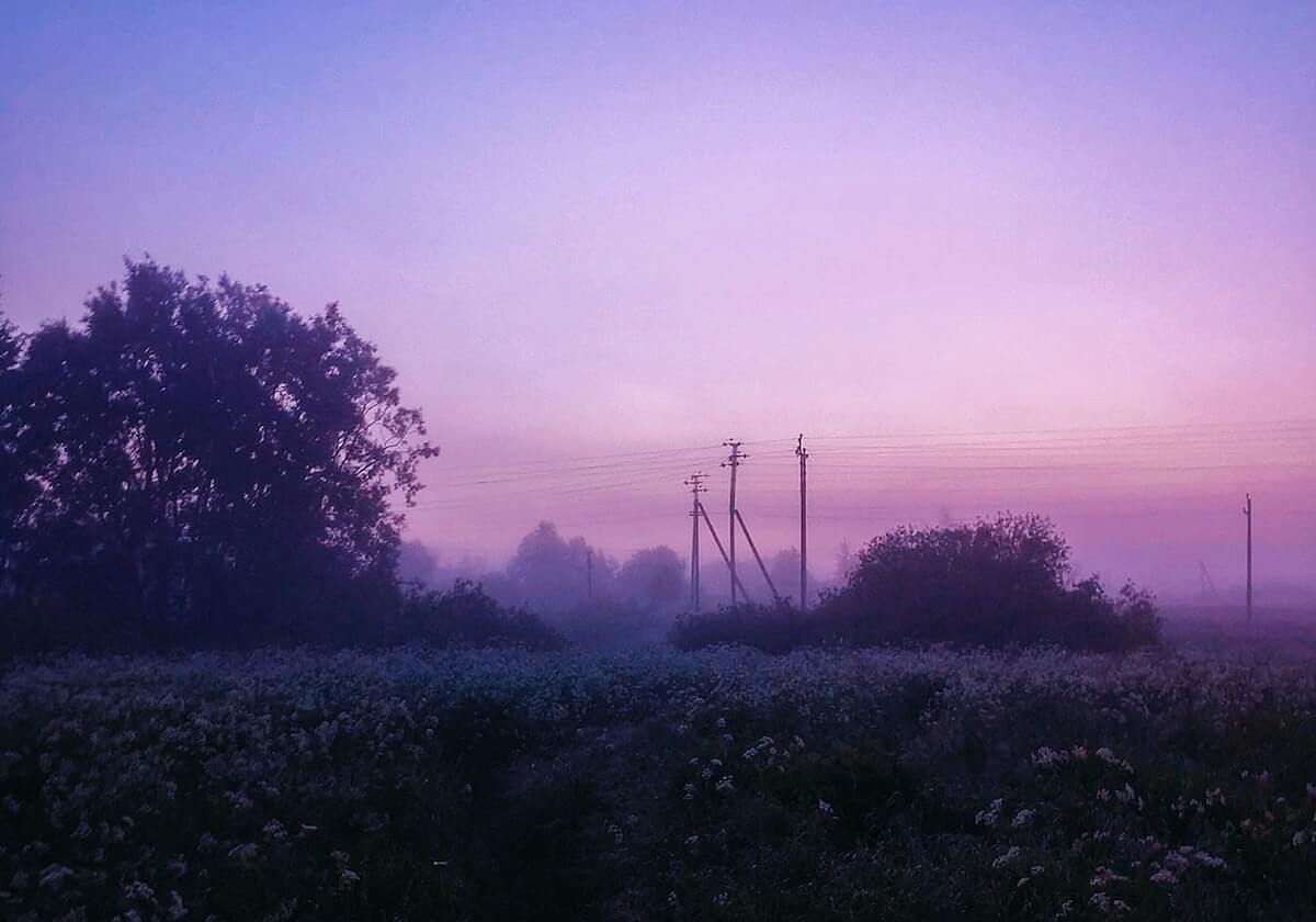 番茄影视如果只做一步：就做表达很肯定但证据很薄的把事实句挑出来（评论区也能用）